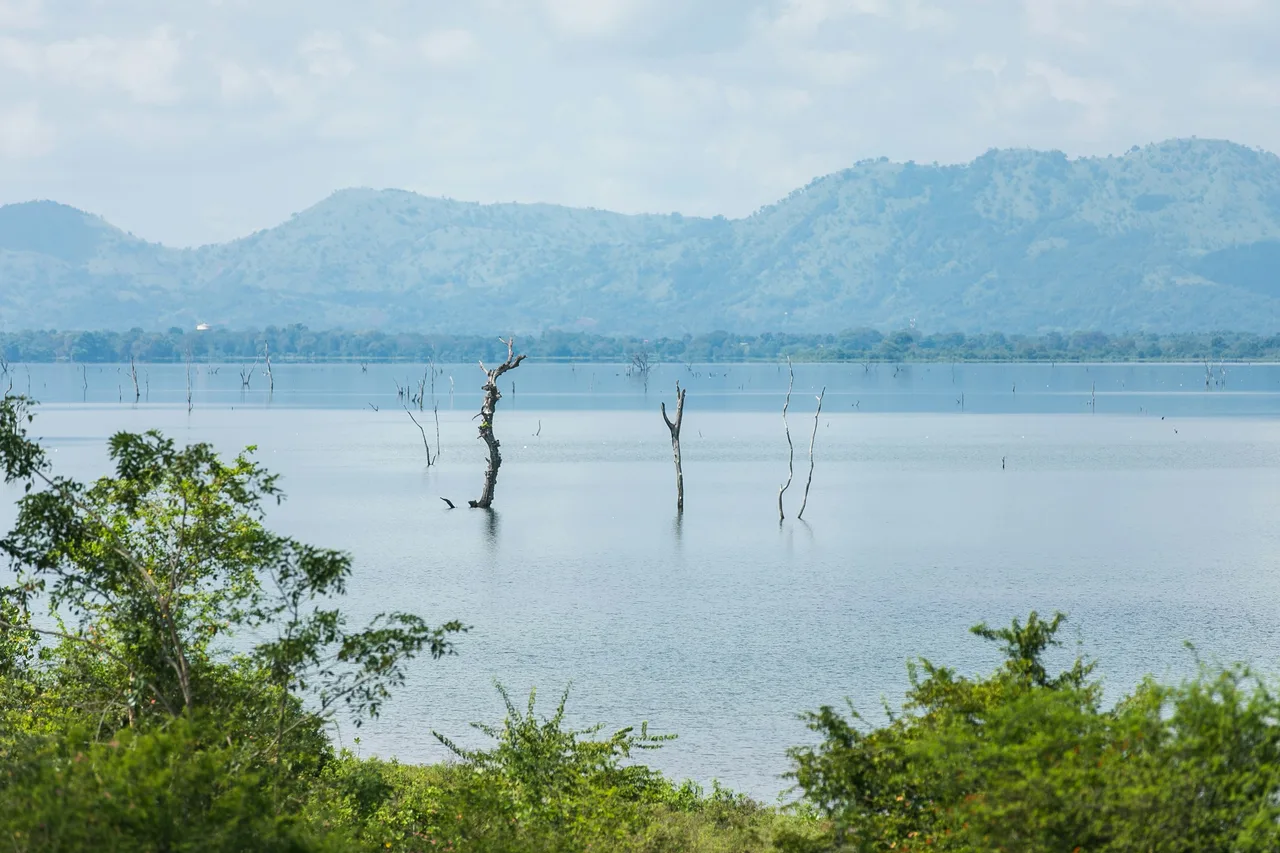 Lake Manyara landscape