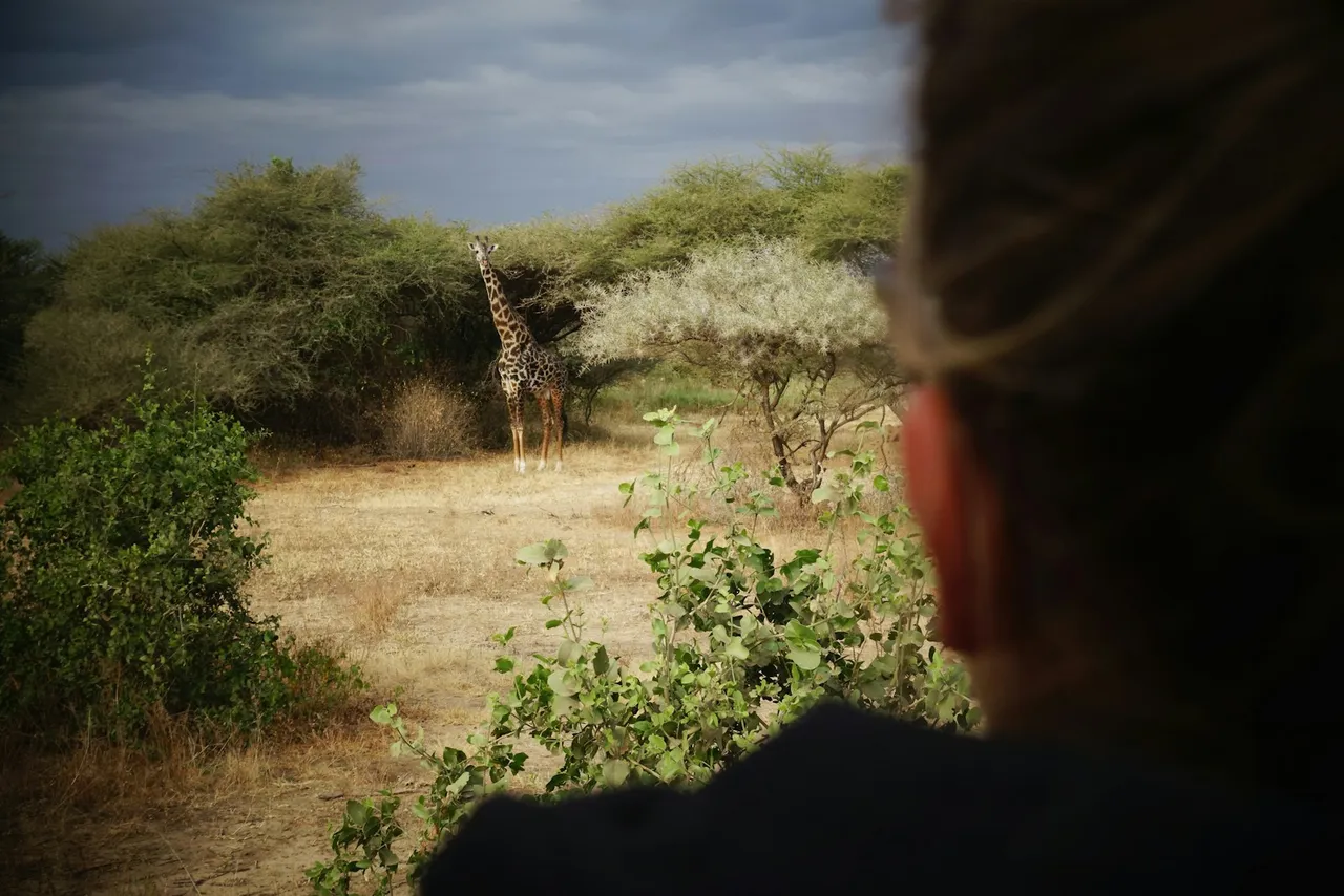 Woodland and wildlife at Lake Manyara