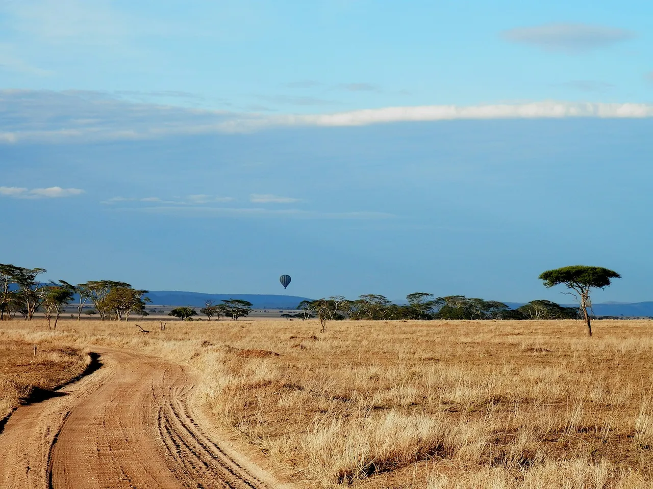 Open Serengeti plains under a blue sky